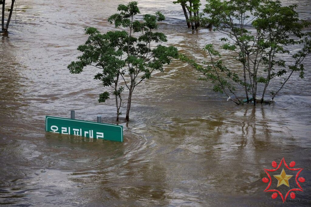 Lũ lụt ở Hàn Quốc, 39 người chết