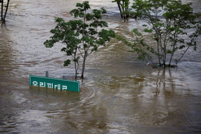 Lũ lụt ở Hàn Quốc, 39 người chết