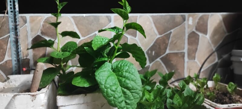 IMG 20230516 225455
