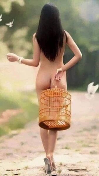 2582898 488891 49e9f57a 8596 4055 a908 5f2ee6799ee3 4qmlaolznnul6k9wmec4