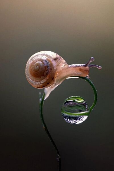 92873532220877 92873532220877