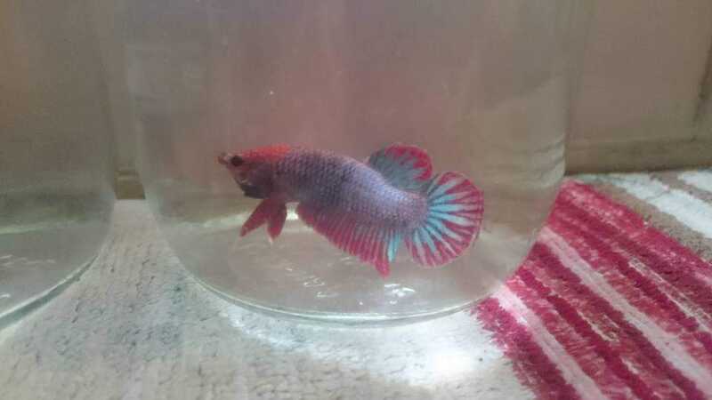 FB IMG 1678529398605 FB IMG 1678529398605