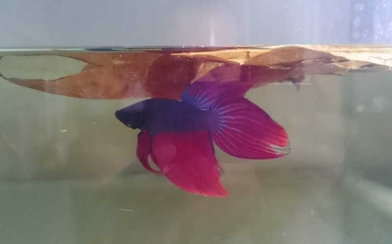 FB IMG 1678529312688 FB IMG 1678529312688