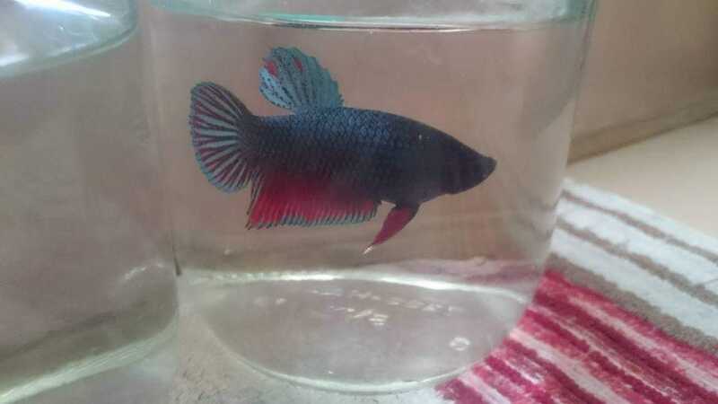 FB IMG 1678529403316 FB IMG 1678529403316