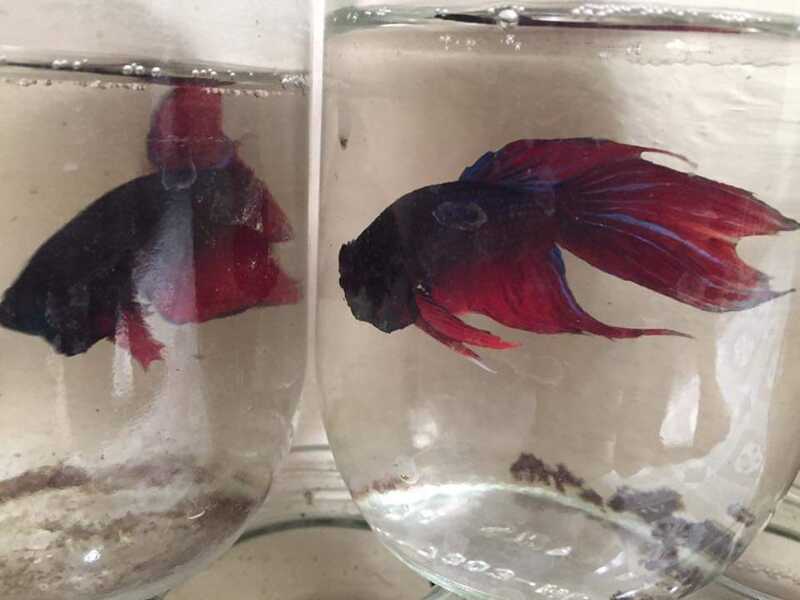 FB IMG 1678529699151 FB IMG 1678529699151