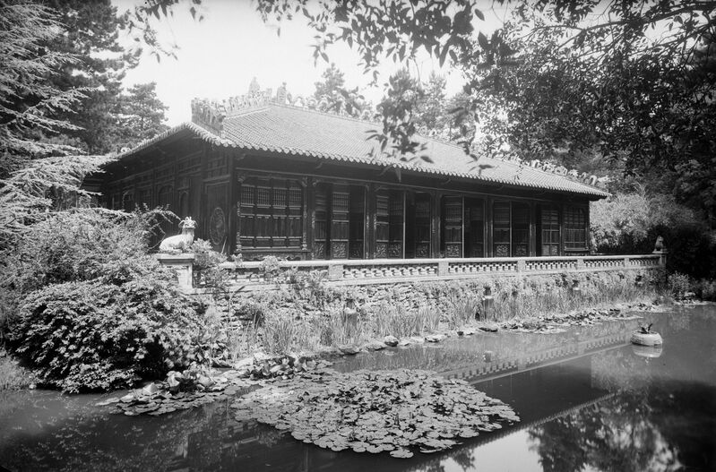 33916573618 a46fb1fe3e o 33916573618 a46fb1fe3e o