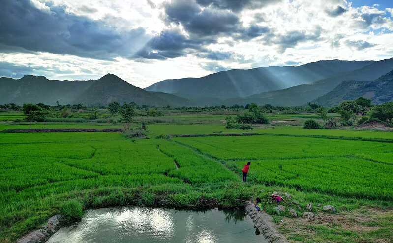 4403597 Cover 4403597 Cover