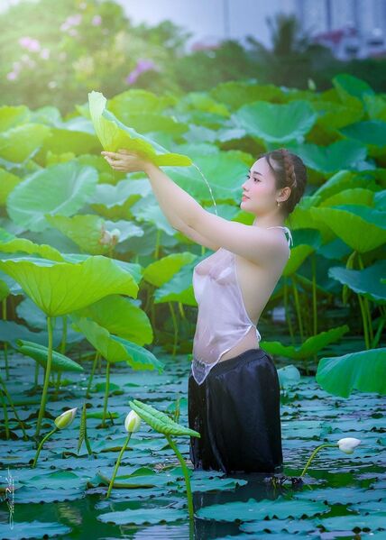 351478623 593338822862923 2689616691857050033 n 351478623 593338822862923 2689616691857050033 n