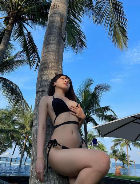 387048703 255714287469278 696365438724909516 n 387048703 255714287469278 696365438724909516 n