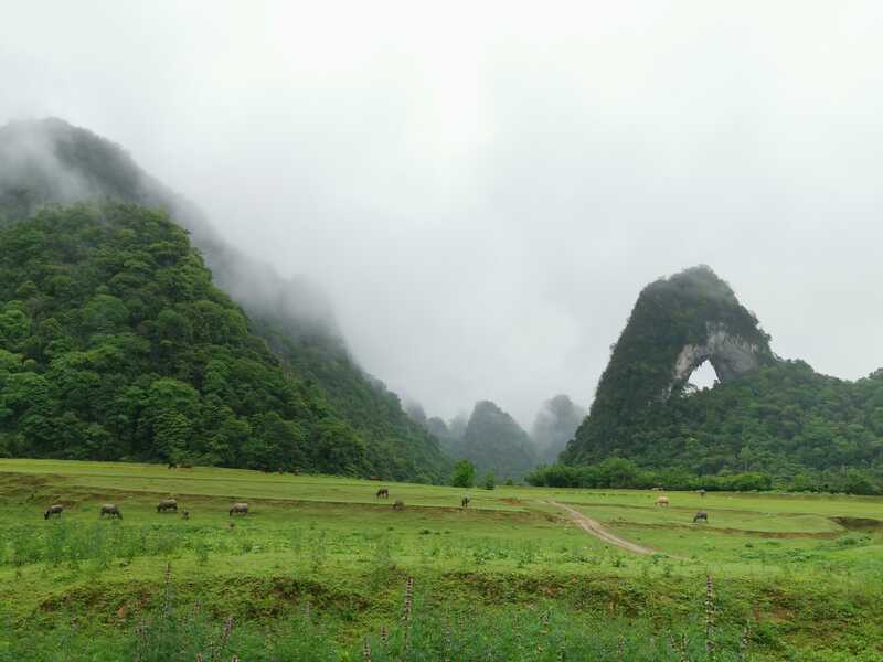 IMG 20210410 103439 IMG 20210410 103439