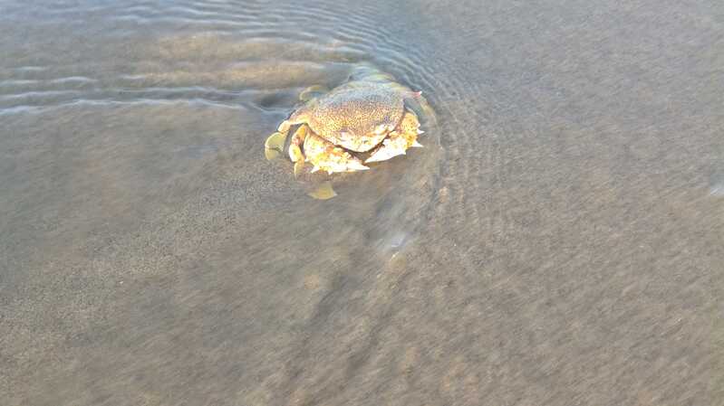 IMG 20170626 060806 IMG 20170626 060806