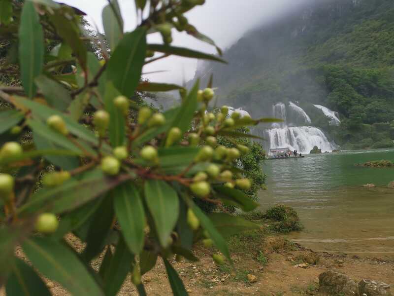 IMG 20210411 113154 IMG 20210411 113154