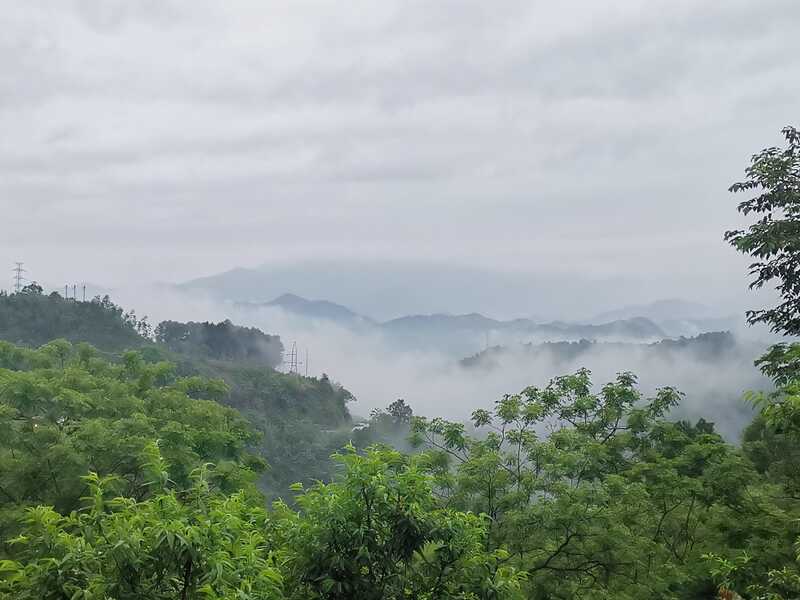 IMG 20210409 175647
