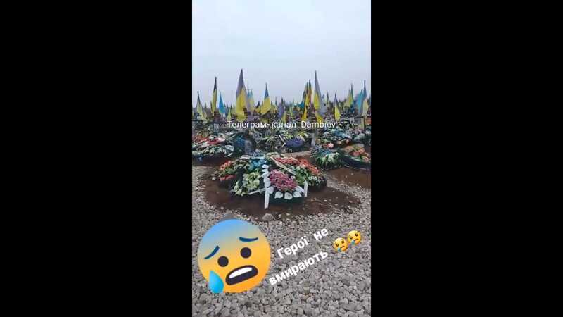 AnyConv.com  Fpho6njaMAEn9Of AnyConv.com  Fpho6njaMAEn9Of