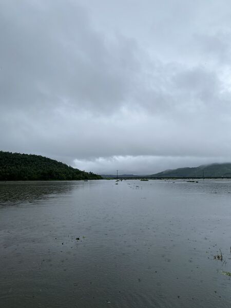 F0803B8C 216C 49D4 A0C0 99B0AB0C16A1