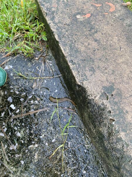 EC443C66 F82F 4A4C 9977 9A680B8BB4B3