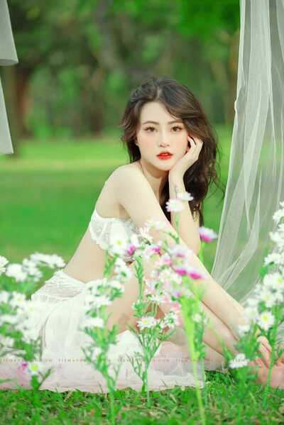 335901465 3285369435058859 2601953623280454464 n 335901465 3285369435058859 2601953623280454464 n