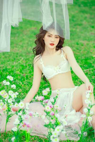 336123933 7343147052472568 3334072780057393384 n 336123933 7343147052472568 3334072780057393384 n