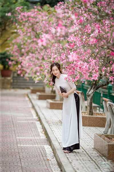 336064796 226714409923097 5626769481749749204 n 336064796 226714409923097 5626769481749749204 n