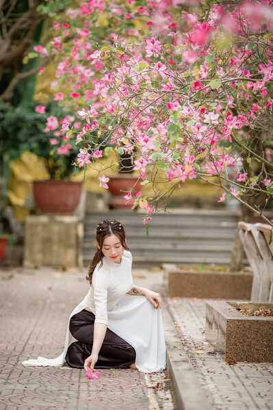 335834919 100265589687041 5763408627085709745 n 335834919 100265589687041 5763408627085709745 n