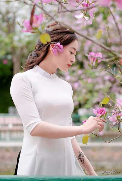 335019872 941254393979564 6229877704005584313 n 335019872 941254393979564 6229877704005584313 n