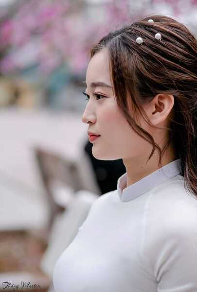 333520691 221329623806232 8303892118964847565 n 333520691 221329623806232 8303892118964847565 n