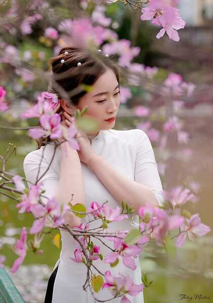 336166839 910167810314074 8678766059723697762 n 336166839 910167810314074 8678766059723697762 n