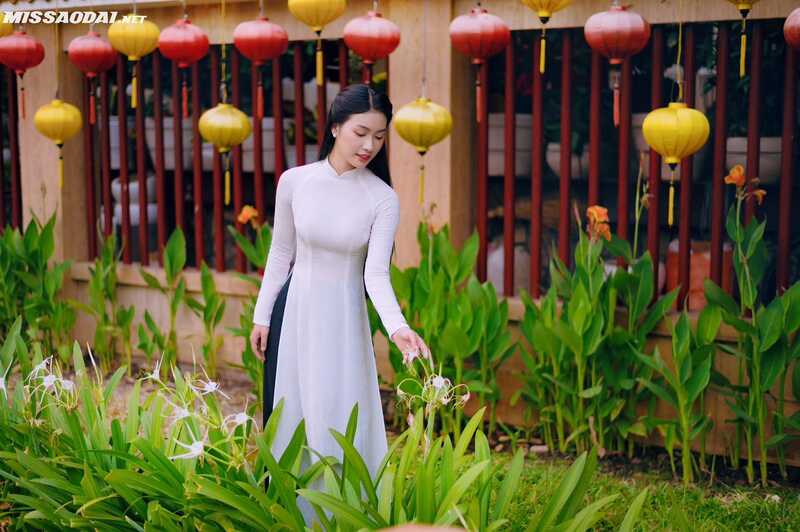 335504212 590157379802609 8348482378431743514 n 335504212 590157379802609 8348482378431743514 n