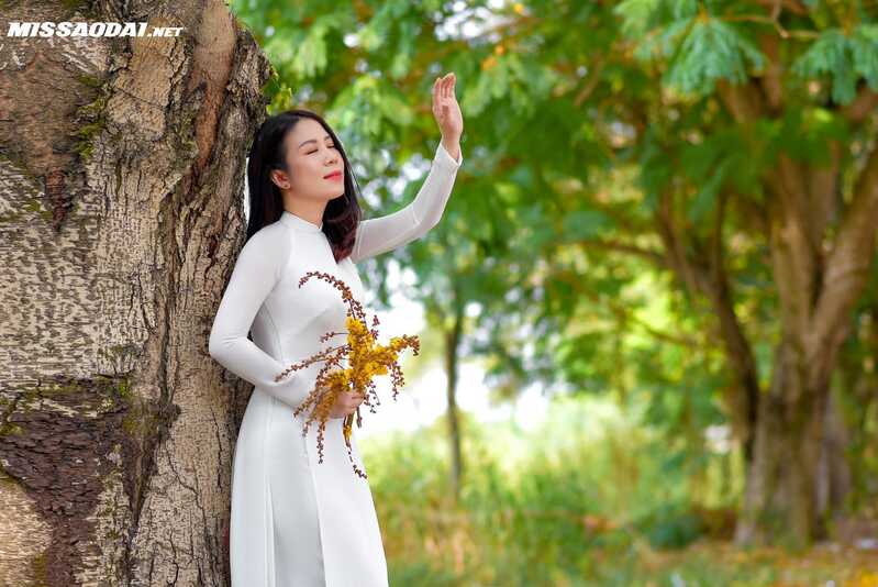 335318443 1587938571684274 829458707558758537 n 335318443 1587938571684274 829458707558758537 n