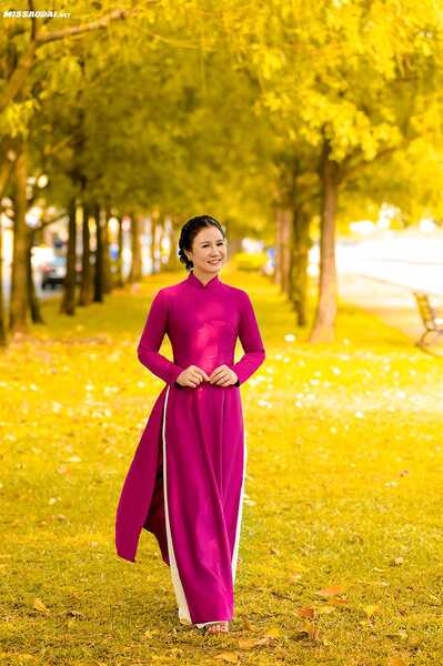 335284877 1025912511717512 7517175696245831573 n 335284877 1025912511717512 7517175696245831573 n