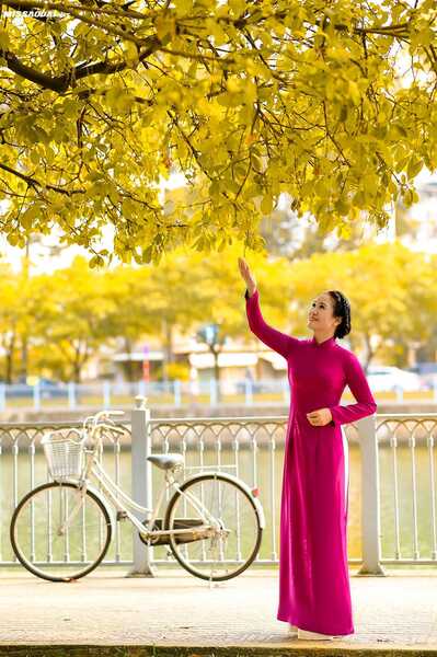 335391035 731276195312794 7549752940599575361 n 335391035 731276195312794 7549752940599575361 n