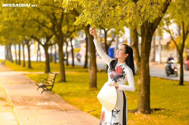 335486145 3279087932343423 4147671265857363074 n 335486145 3279087932343423 4147671265857363074 n