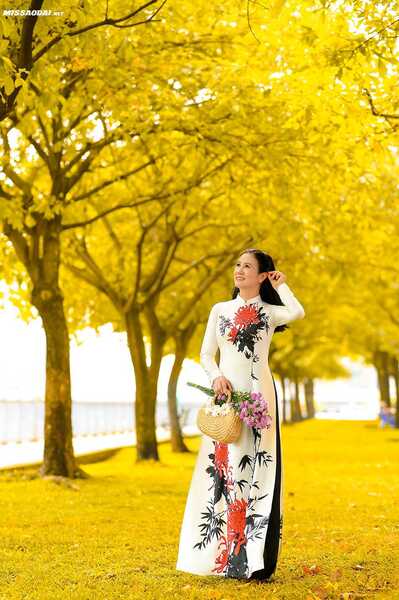 335203427 575555264514886 289588401930469136 n 335203427 575555264514886 289588401930469136 n