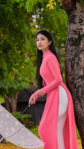 336697050 1393827324770569 1342150715012320614 n 336697050 1393827324770569 1342150715012320614 n