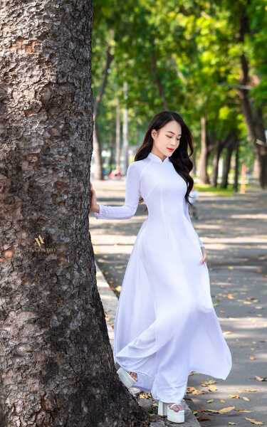 336647344 561117989452584 2876355730763541747 n