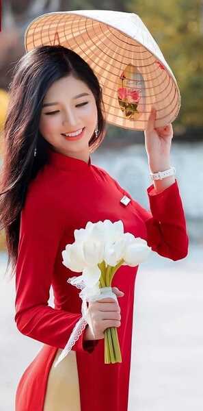 336358703 170592552452231 3874881262506248602 n