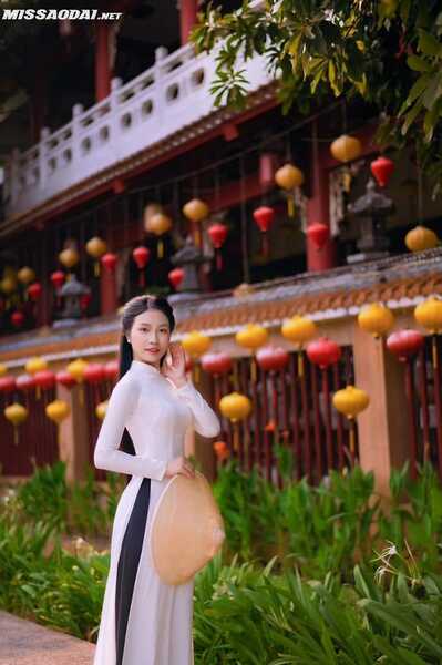 336656219 960487185112858 8561162071738356845 n