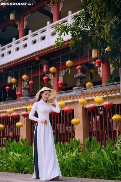 336451347 173972475440765 4601309228718600021 n