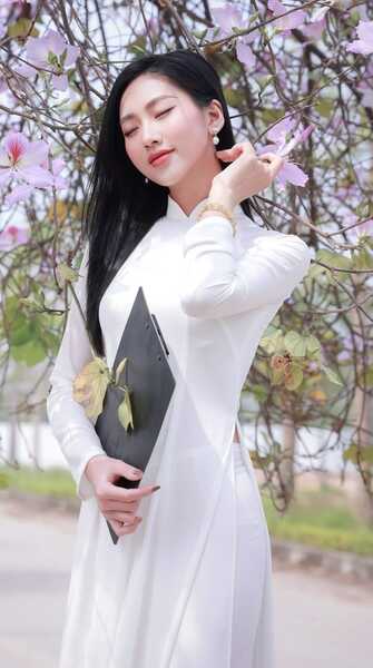 333499150 1030552014585859 5309102540043252718 n 333499150 1030552014585859 5309102540043252718 n