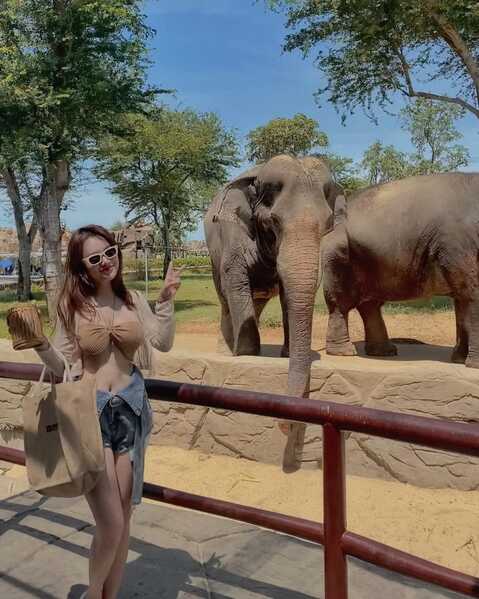 294181079 3309818962589128 3270980332946169855 n 294181079 3309818962589128 3270980332946169855 n