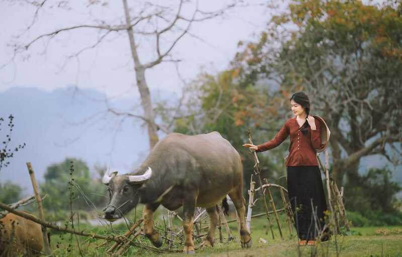 334944358 1252109569066338 1858470239763456001 n 334944358 1252109569066338 1858470239763456001 n