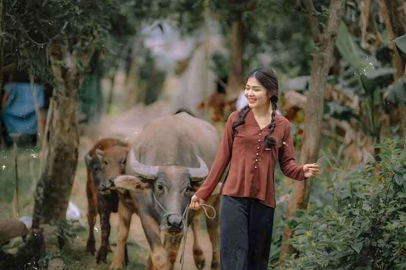 335185486 3471555336448678 2600006224216656408 n 335185486 3471555336448678 2600006224216656408 n