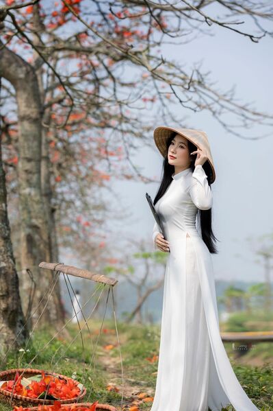 337726210 722321659615894 8466240473559920738 n 337726210 722321659615894 8466240473559920738 n