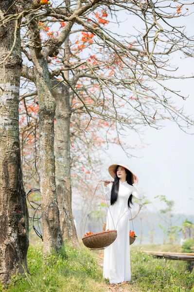 337727794 613038484173803 4382511630044274771 n 337727794 613038484173803 4382511630044274771 n