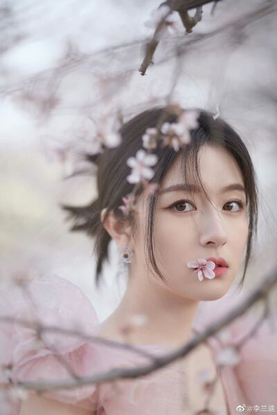 337875110 232055175900119 6744816233016339322 n 337875110 232055175900119 6744816233016339322 n