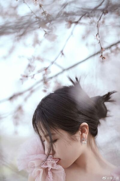 337845048 532198652431932 1001962223903352376 n 337845048 532198652431932 1001962223903352376 n