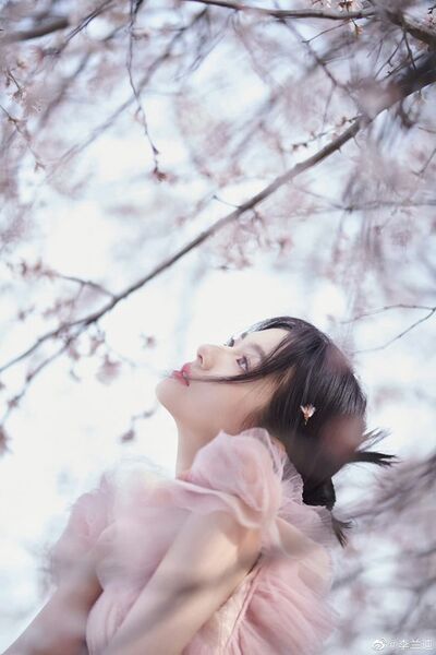 337112404 745620117177684 4849509709781705738 n 337112404 745620117177684 4849509709781705738 n