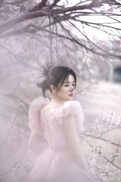 337850453 732133728639780 930008524723190243 n 337850453 732133728639780 930008524723190243 n