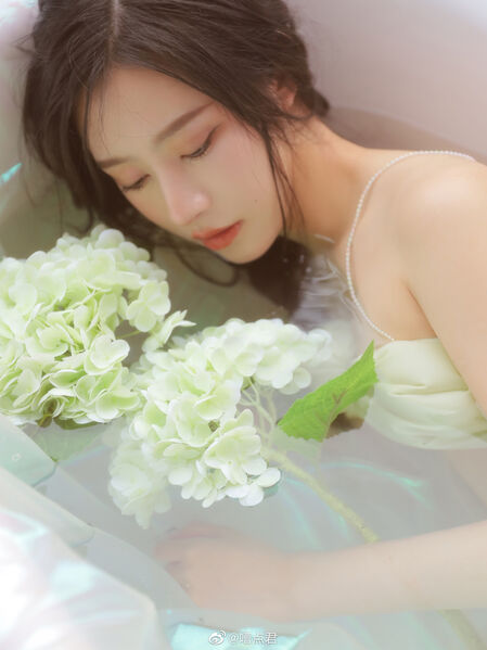 336888668 228982459517154 8373367695231275723 n 336888668 228982459517154 8373367695231275723 n