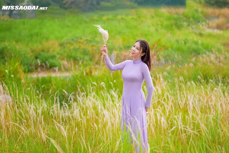 335426326 444151277904272 8327240633102196907 n 335426326 444151277904272 8327240633102196907 n